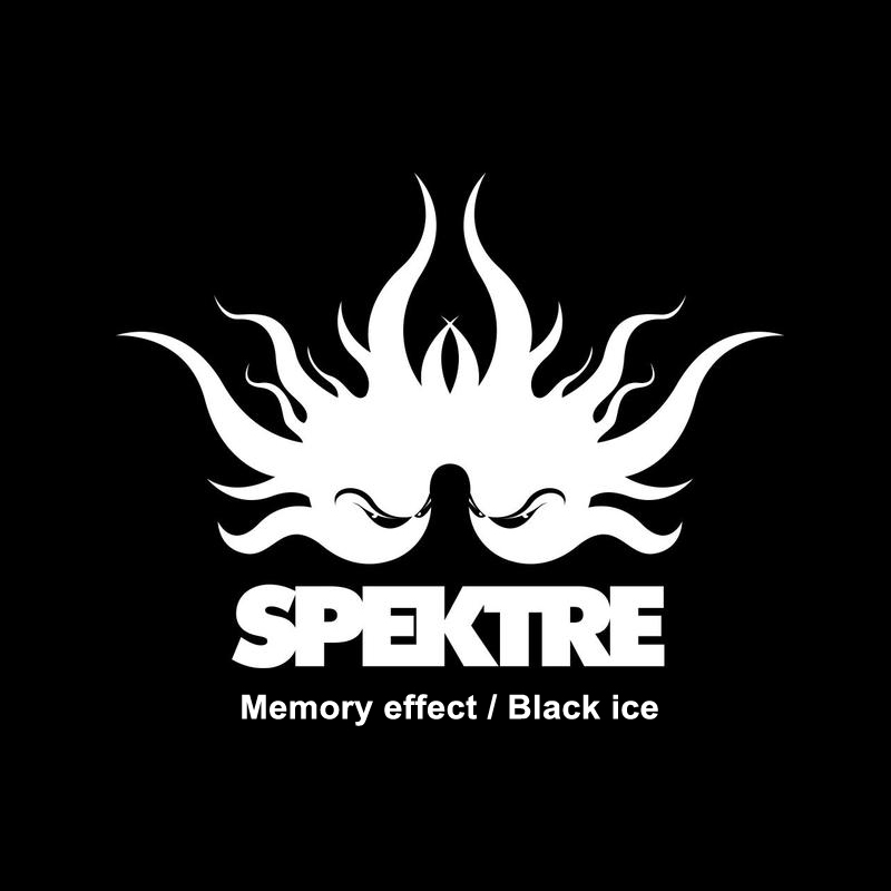 Spektre - Memory effect (Free track)